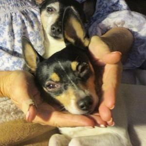 Meet your Posher, Jan